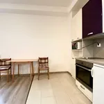 Rent 1 bedroom apartment of 33 m² in Prague