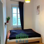 Rent 2 bedroom apartment of 38 m² in Praha