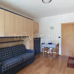 Rent 1 bedroom apartment of 20 m² in Ville di Fiemme