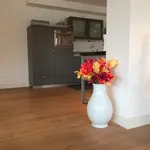 Rent 3 bedroom apartment of 100 m² in Westbroekpark