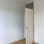 Rent 3 bedroom apartment of 80 m² in Den Haag