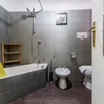 Rent 2 bedroom apartment of 50 m² in Milan