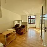 Rent 1 bedroom house in Brno