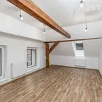 Rent 4 bedroom apartment in Plzeň-jih