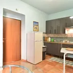 Rent 1 bedroom apartment of 48 m² in rome