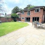 Rent 4 bedroom house in South East England