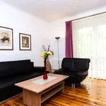 Rent 1 bedroom apartment in berlin