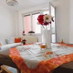 Rent 2 bedroom apartment of 42 m² in České Budějovice