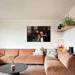 Rent 3 bedroom apartment in Knokke-Heist