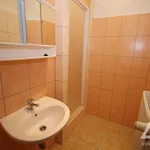 Rent 1 bedroom apartment of 22 m² in Capital City of Prague