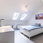 Rent 3 bedroom apartment in Prague