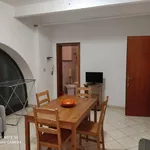 Rent 1 bedroom apartment of 35 m² in Collesalvetti