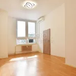 Rent 1 bedroom apartment of 31 m² in Liberec