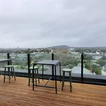 Rent 1 bedroom apartment in Auckland