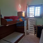 Rent 3 bedroom apartment of 70 m² in Pisa