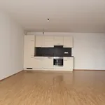 Rent 2 bedroom apartment of 54 m² in Graz