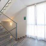 Rent 1 bedroom apartment of 60 m² in milan