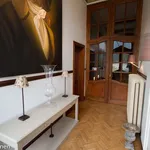 Rent 1 bedroom apartment in Leuven