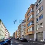 Rent 1 bedroom apartment in Capital City of Prague