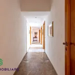 Rent 9 bedroom apartment of 200 m² in Roma