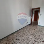 Affitto 3 camera appartamento di 67 m² in Perugia