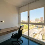 Rent 6 bedroom apartment in Valencia