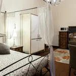 Rent 1 bedroom apartment in Florence