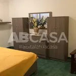 Rent 3 bedroom apartment of 70 m² in Velletri