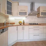 Rent 3 bedroom apartment of 67 m² in České Budějovice