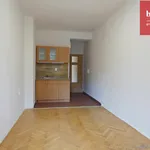 Rent 1 bedroom apartment in Opava