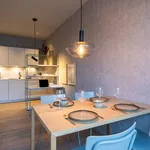 Rent 1 bedroom apartment of 52 m² in Den Haag