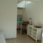 Rent 1 bedroom apartment of 20 m² in lille