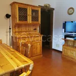 Rent 4 bedroom apartment of 60 m² in Borca di Cadore