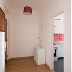 Rent 2 bedroom apartment in Lisbon