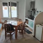 Rent 1 bedroom apartment of 48 m² in Castellanza