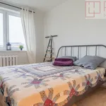 Rent 2 bedroom apartment of 52 m² in Szczecin