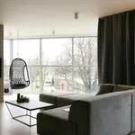 Rent 3 bedroom apartment of 115 m² in Katowice