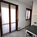 Rent 1 bedroom apartment of 30 m² in Novara