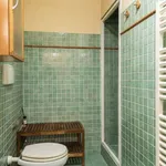 Rent 1 bedroom apartment in florence