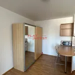 Rent 1 bedroom apartment in Capital City of Prague