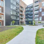 Appartement de 63 m² avec 1 chambre(s) en location à Izegem