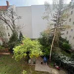 Rent 2 bedroom apartment of 56 m² in Berlin