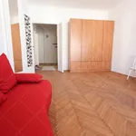 Rent 1 bedroom apartment of 100 m² in Budapest