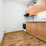 Rent 2 bedroom apartment of 40 m² in Kladno