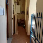 Rent 3 bedroom apartment of 80 m² in Roma