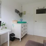 Rent 4 bedroom house of 140 m² in Breda