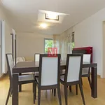 Rent 3 bedroom apartment of 80 m² in City of Zagreb