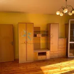 Rent 1 bedroom apartment of 12 m² in Poznan