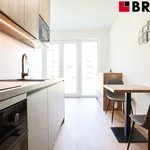 Rent 1 bedroom apartment of 27 m² in Brno