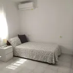 Rent a room in seville